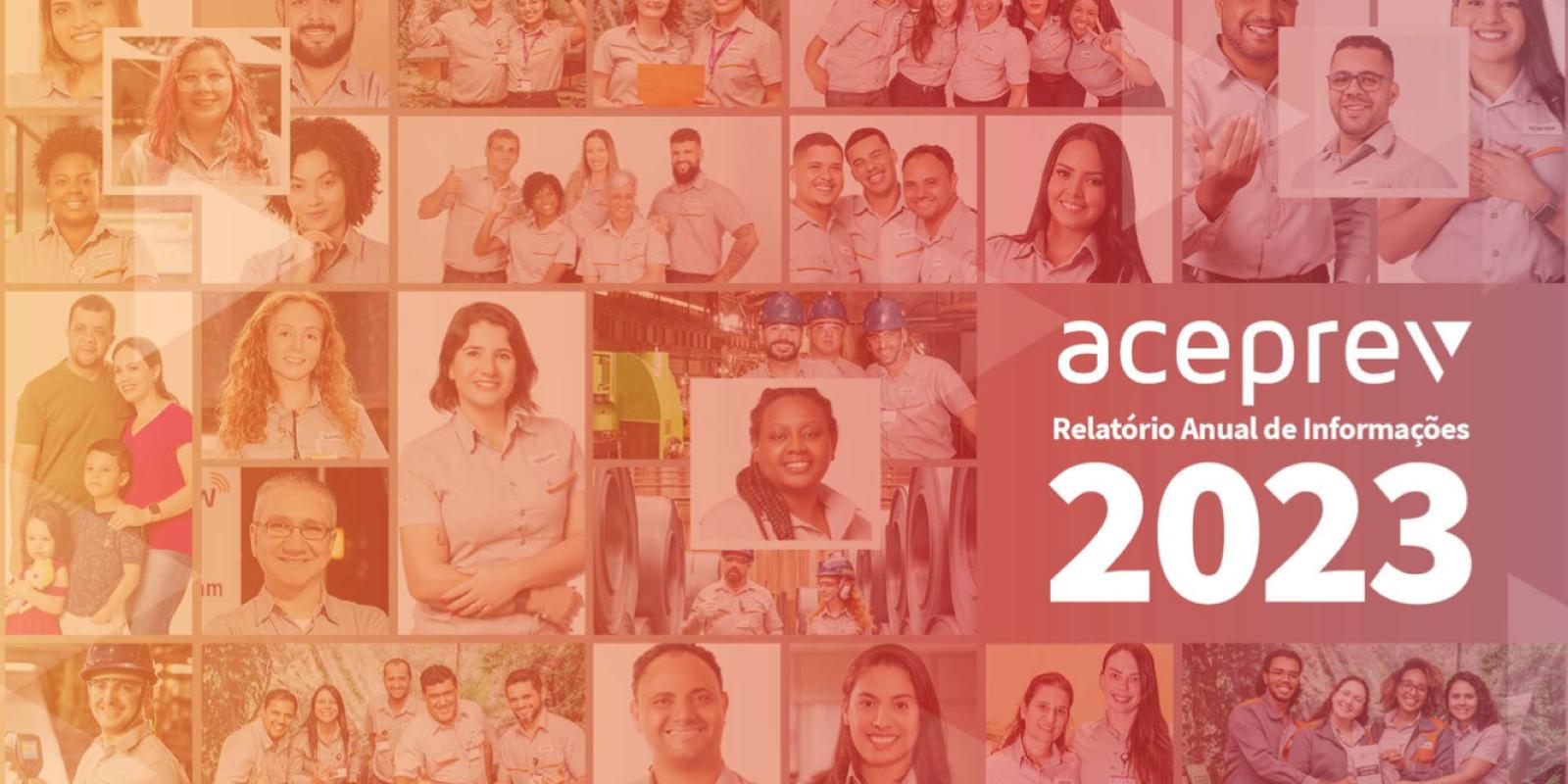 Relatório Anual de Informações RAI